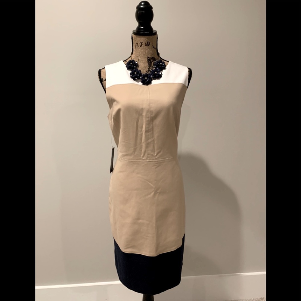The Limited Block Color Sleeveless Dress